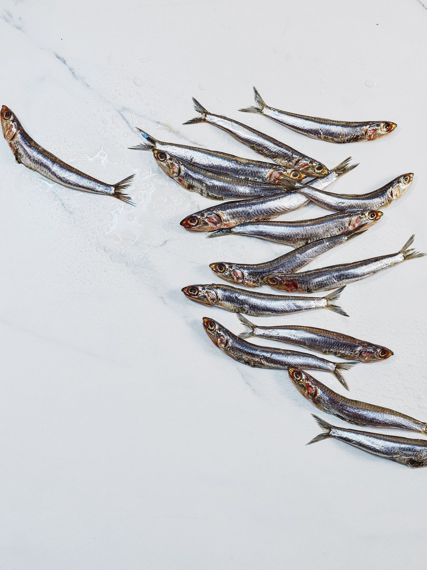 Anchovies