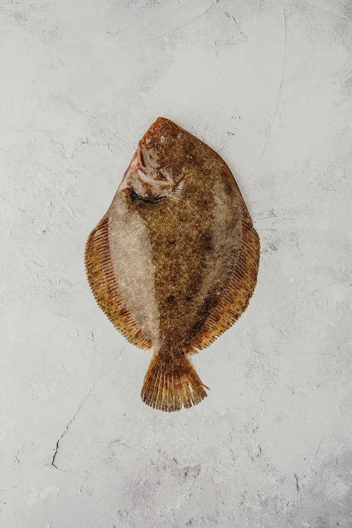Frozen Brill Fillets 230g