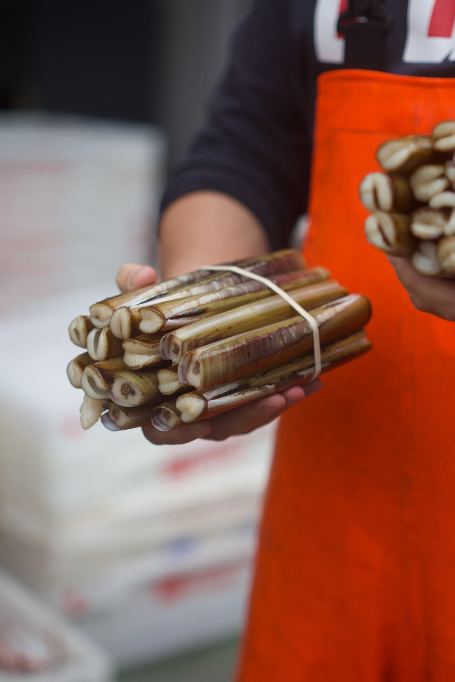 Large Hand Dived Razor Clams 1kg - Feeds 3-4