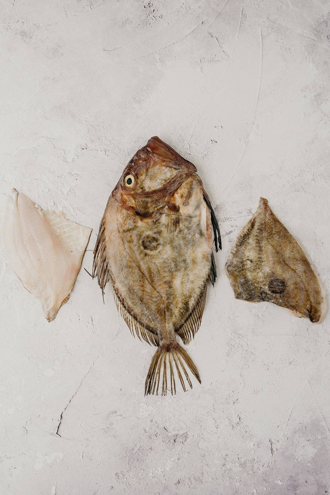 John Dory