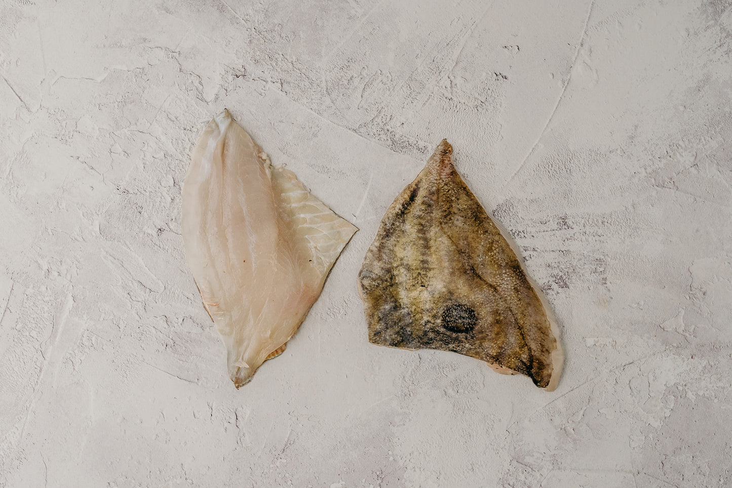 John Dory
