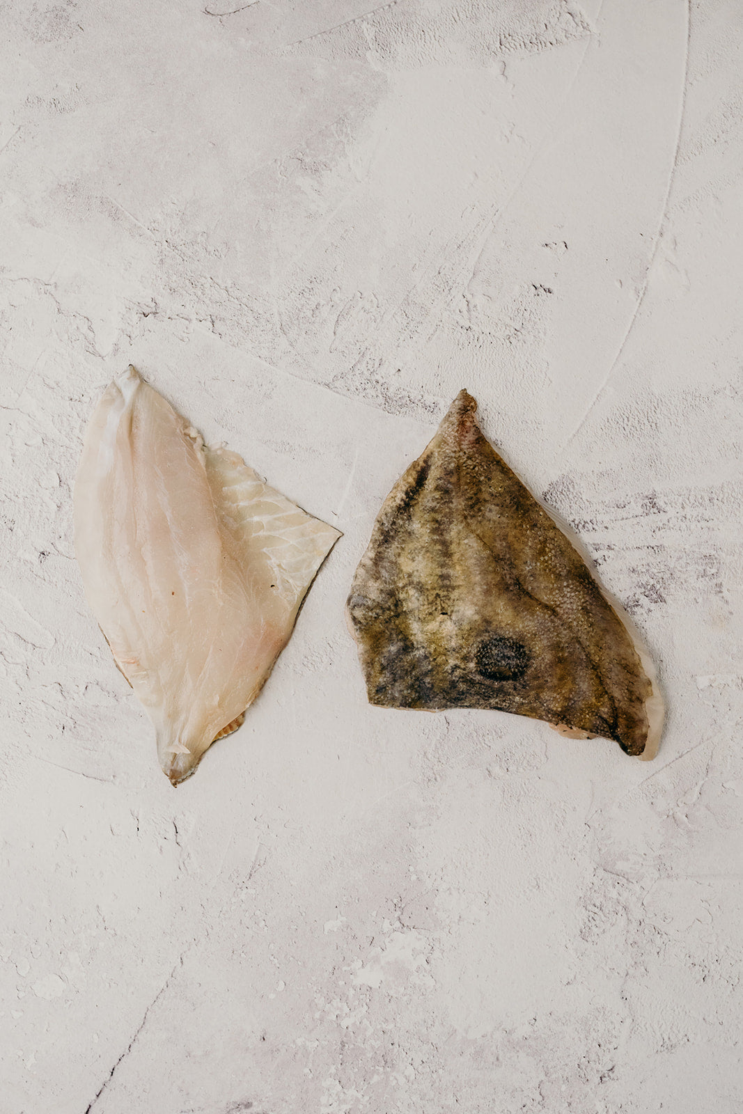 John Dory