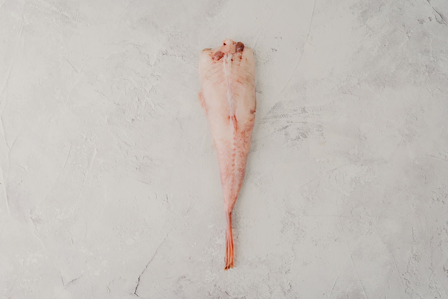 Monkfish