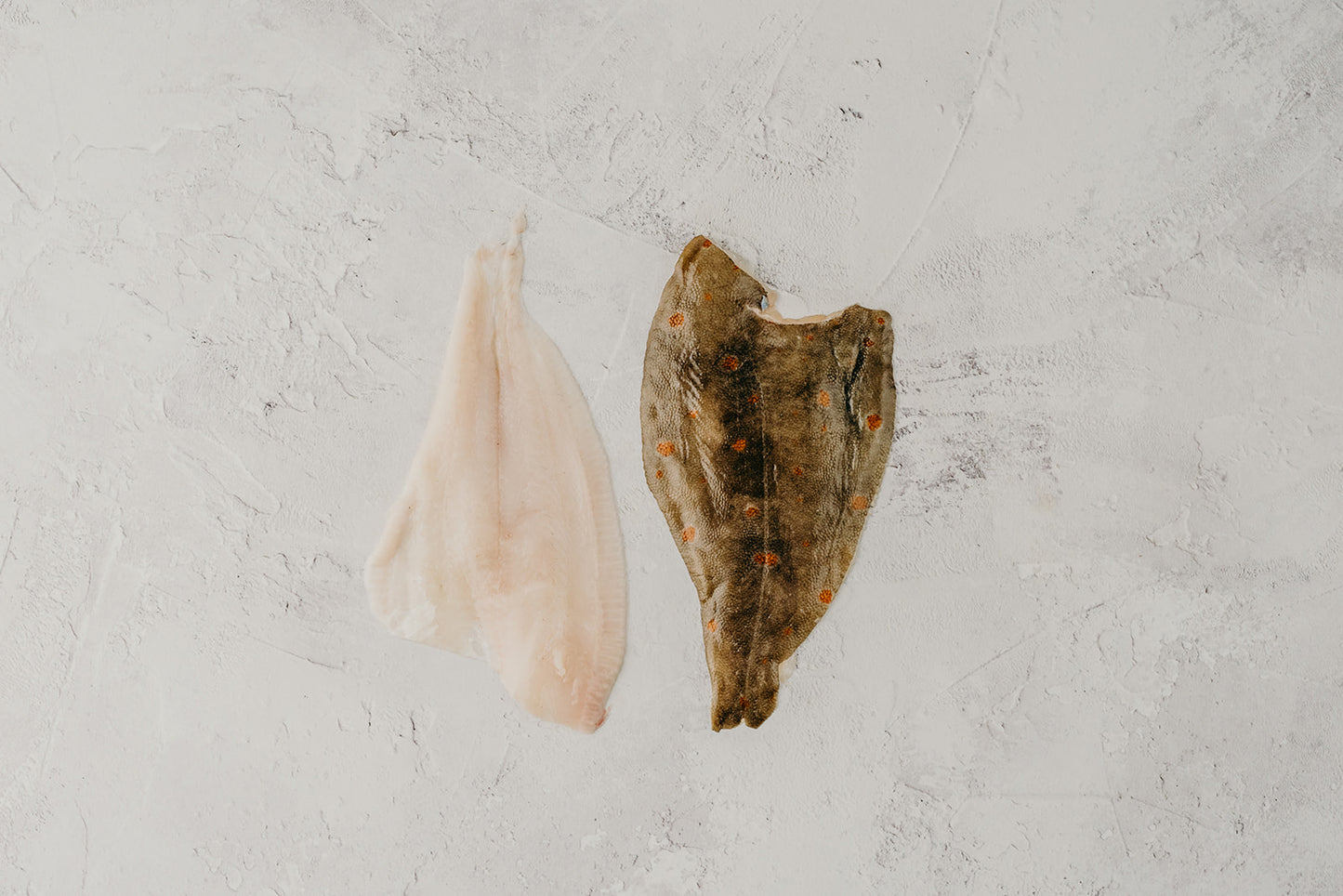 Plaice