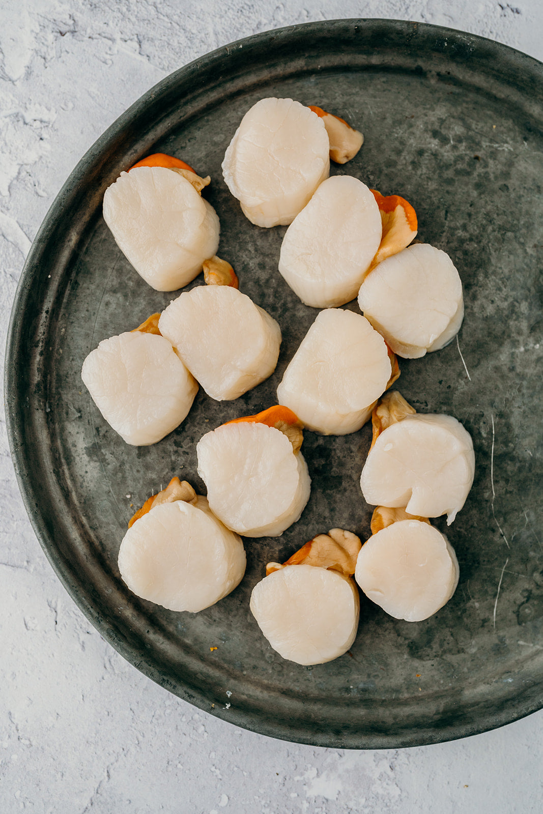Hand Dived Scallops 1 Dozen