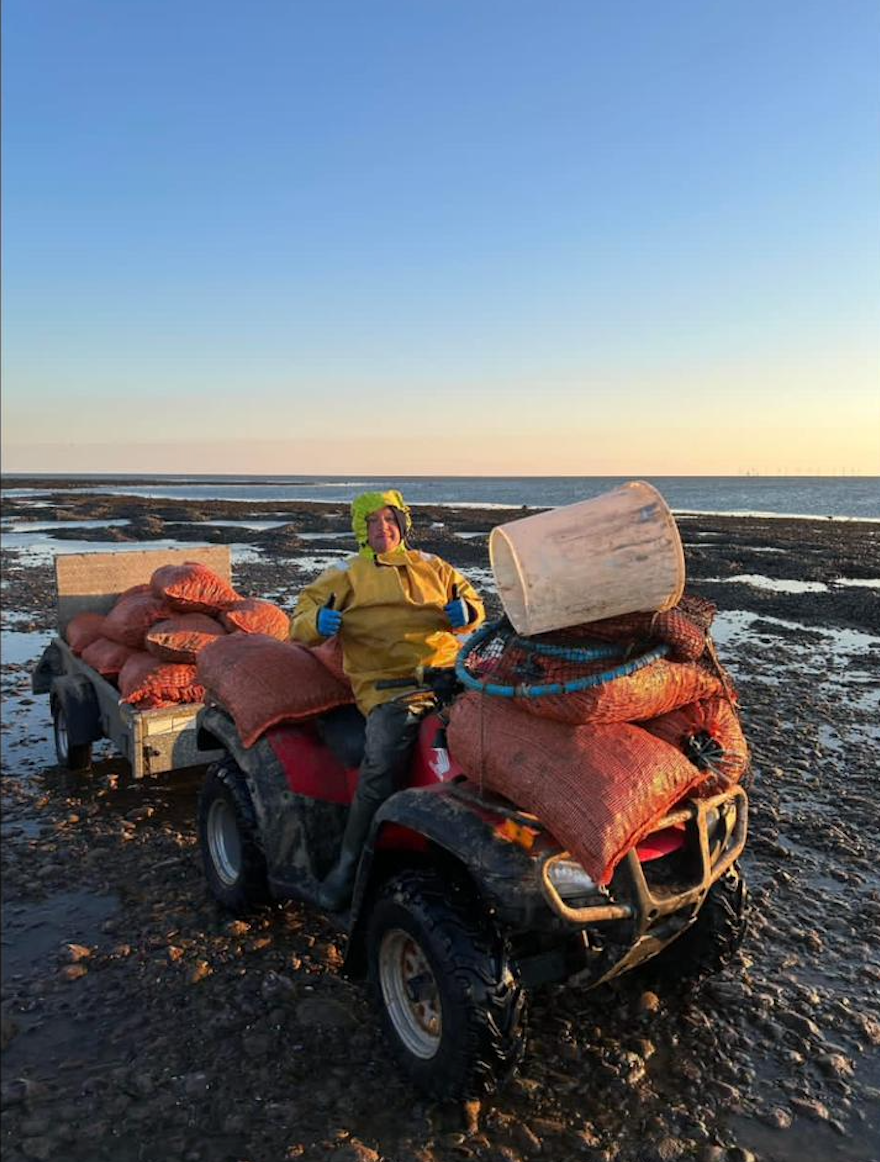 Wild Welsh Mussels 1KG
