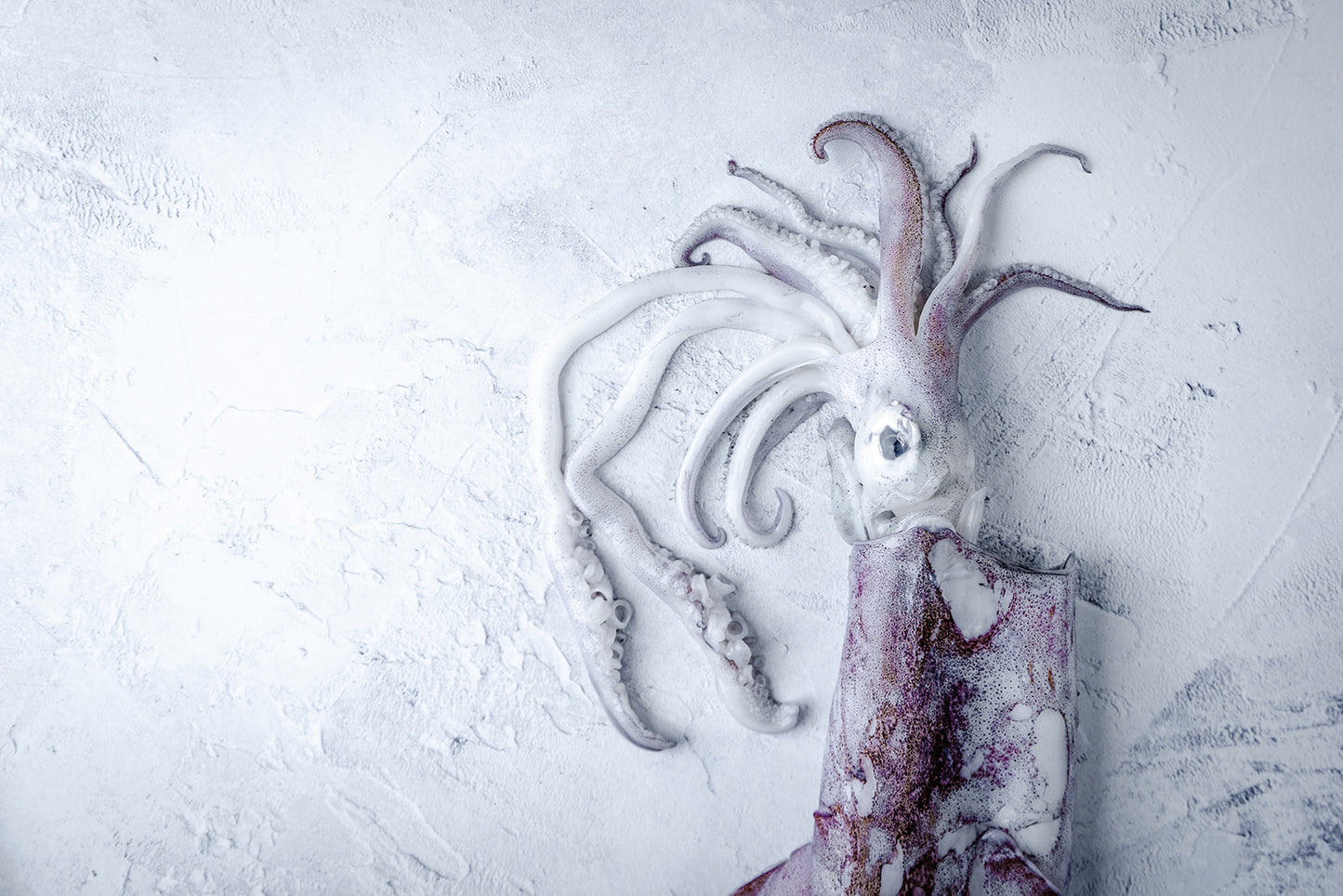 Jigged Squid