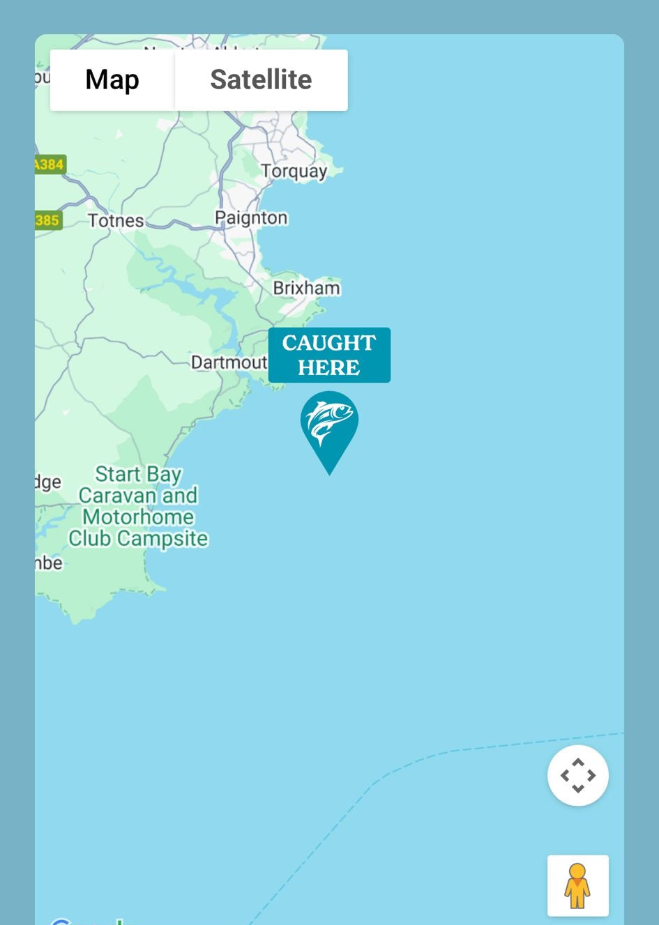 Ikejime Bluefin Tuna Frame