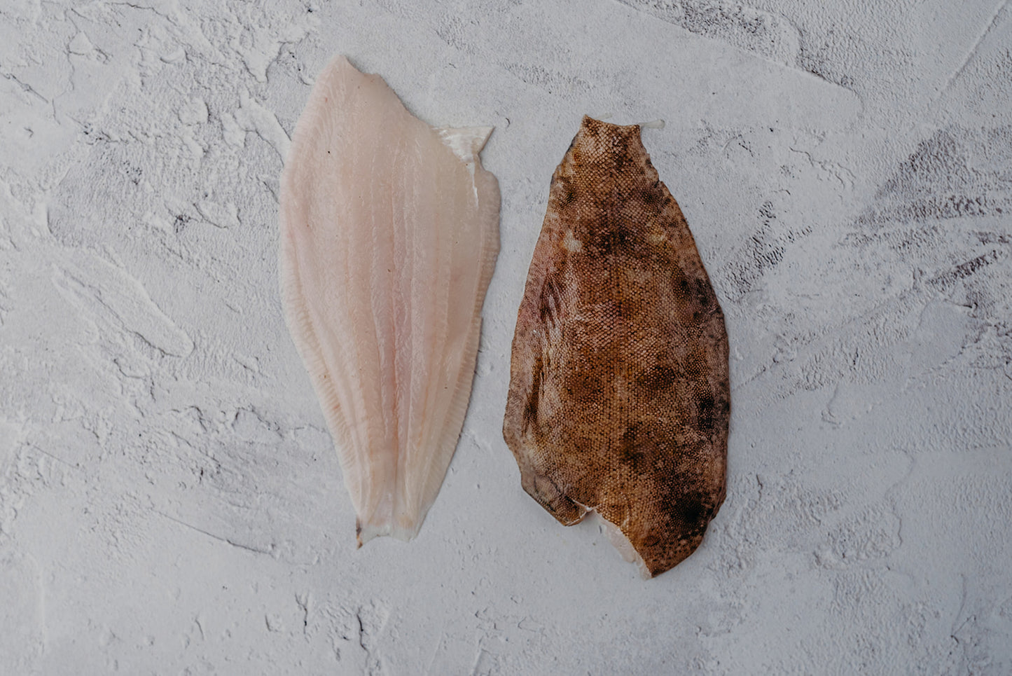 Lemon Sole