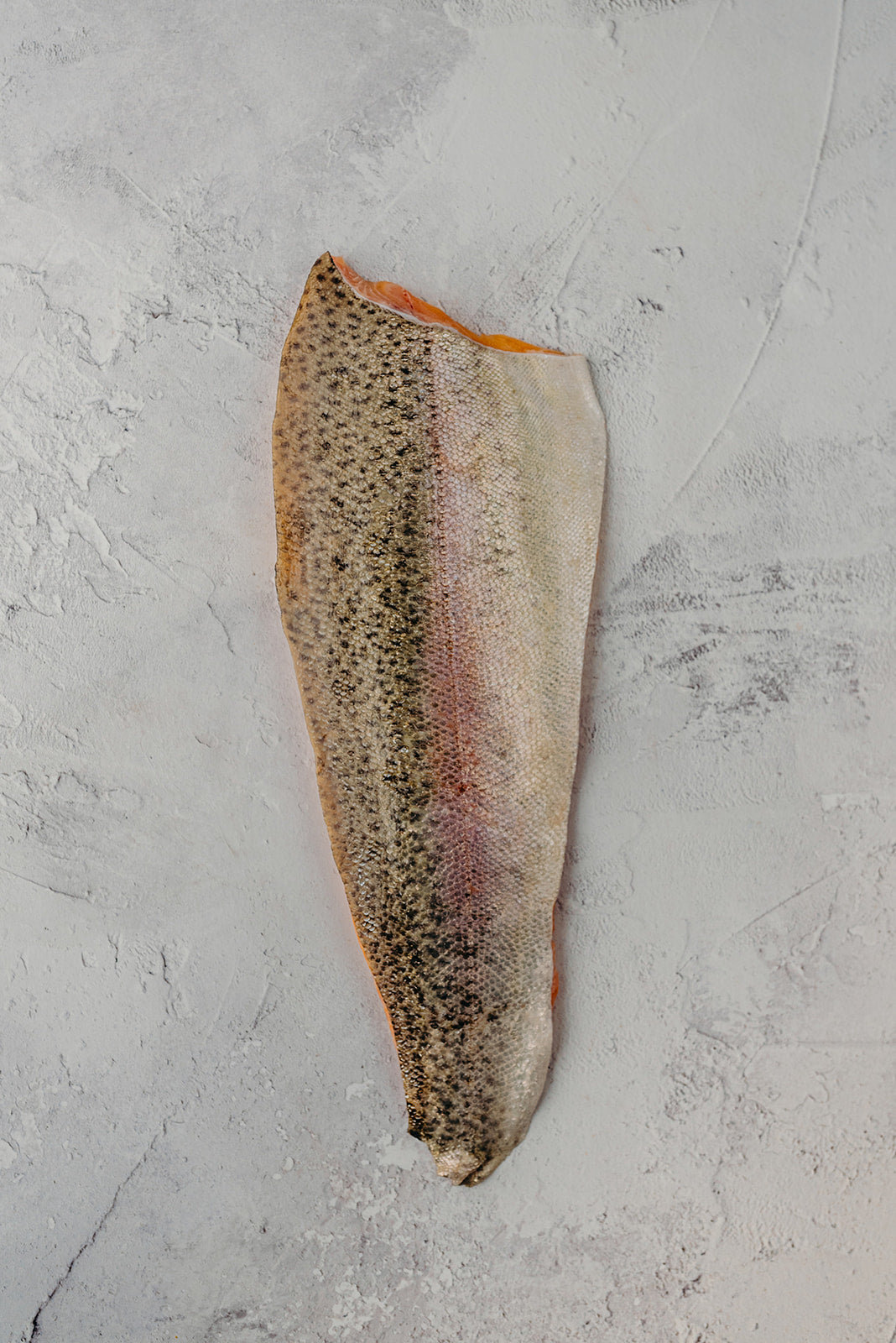 ChalkStream Trout Fillet
