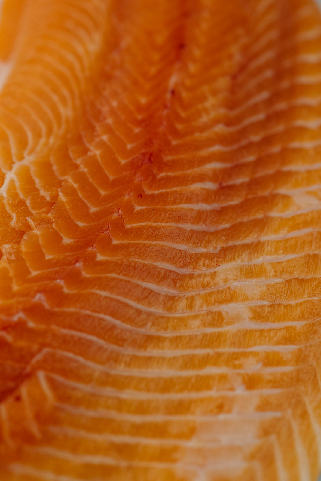 ChalkStream Trout Fillet