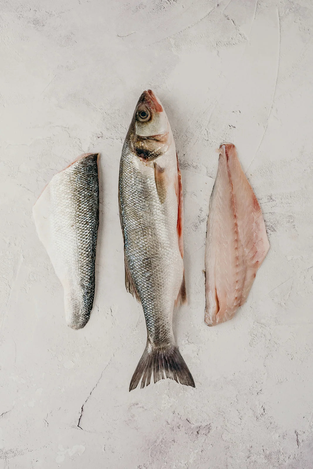 Bass