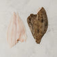 Frozen Brill Fillets 230g