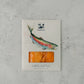 ChalkStream Cold Smoked Trout