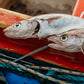 Whiting Fillets