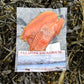 Ullapool Smoked Salmon Trimmings 250g