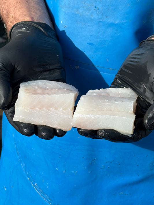 Wolf Fish Steaks