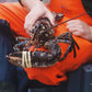 Live Single-Clawed Lobsters