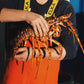 LIVE Welsh Spiny Lobster