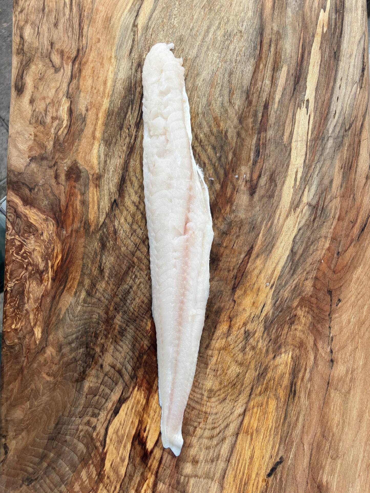 Wild Tusk Fillets