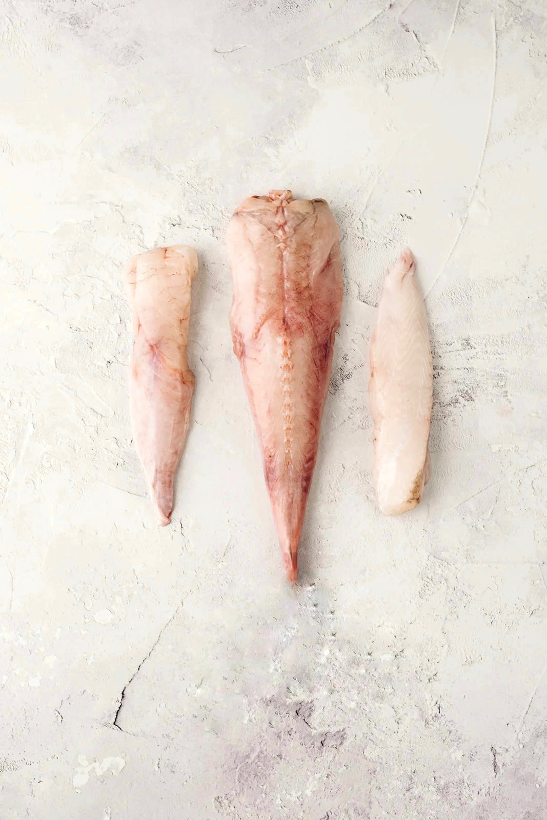 Frozen Monkfish Tail Fillets