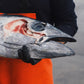 Ikejime Bluefin Tuna Heads