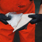 Ikejime Bluefin Tuna Skin