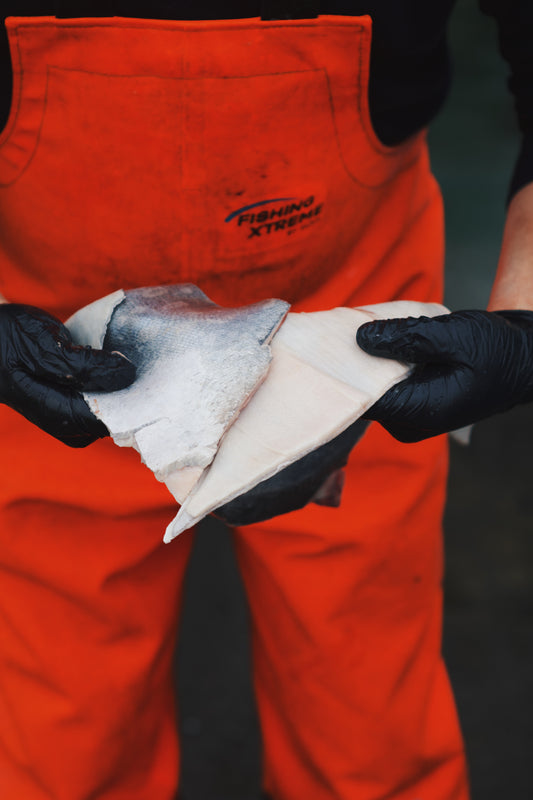 British Bluefin Tuna Skin