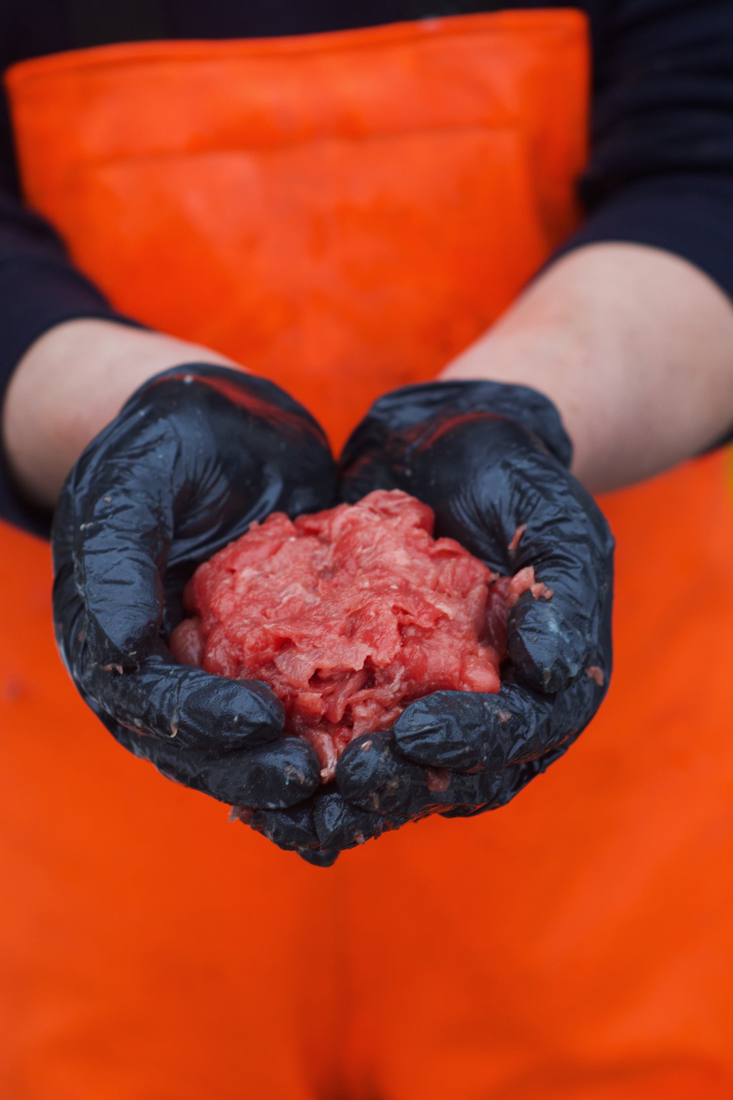 Ikejime Bluefin Tuna Mince