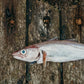 Whiting Fillets