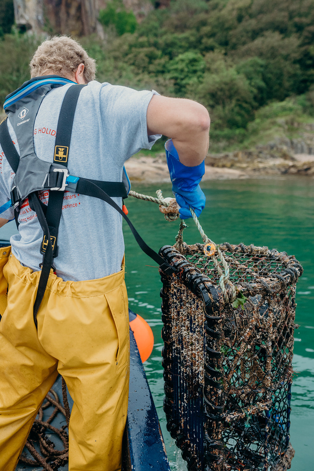 Lobster pot retrieve - Pesky