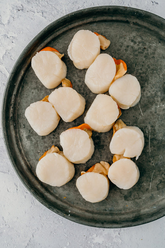 Hand Dived Scallops 1 Dozen