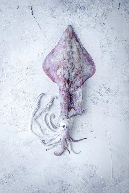 Frozen Jigged Squid Whole 130g