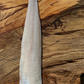 Wild Tusk Fillets