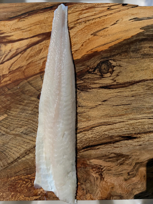 Wild Tusk Fillets