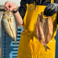 Smoked Kippers