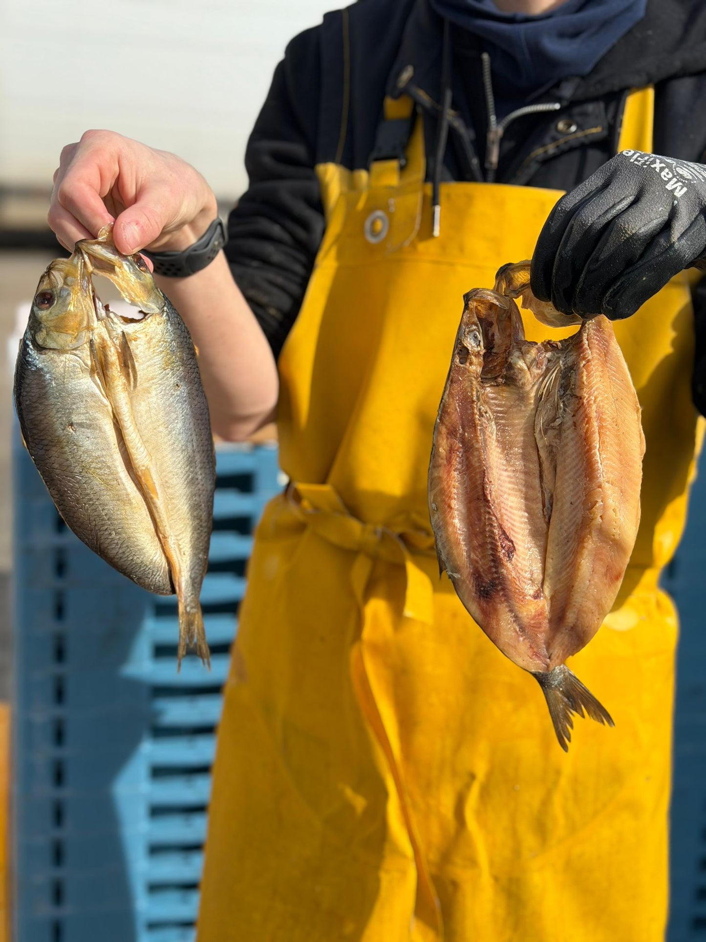Smoked Kippers