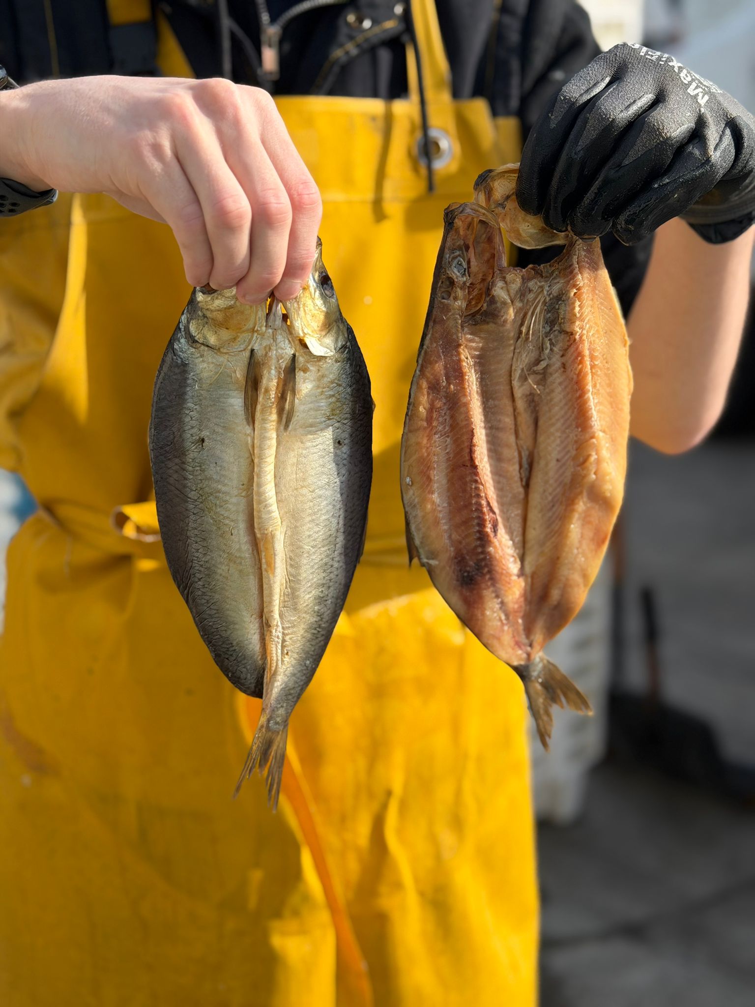 Smoked Kippers – Pesky
