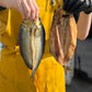 Smoked Kippers
