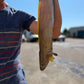 Wild Tusk