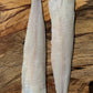 Wild Tusk