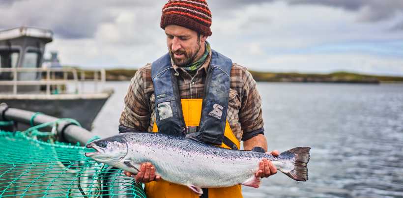 Frozen Loch Duart Half Salmon Fillet, 500g - Feeds 4