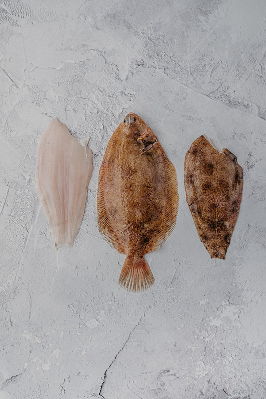 Lemon Sole