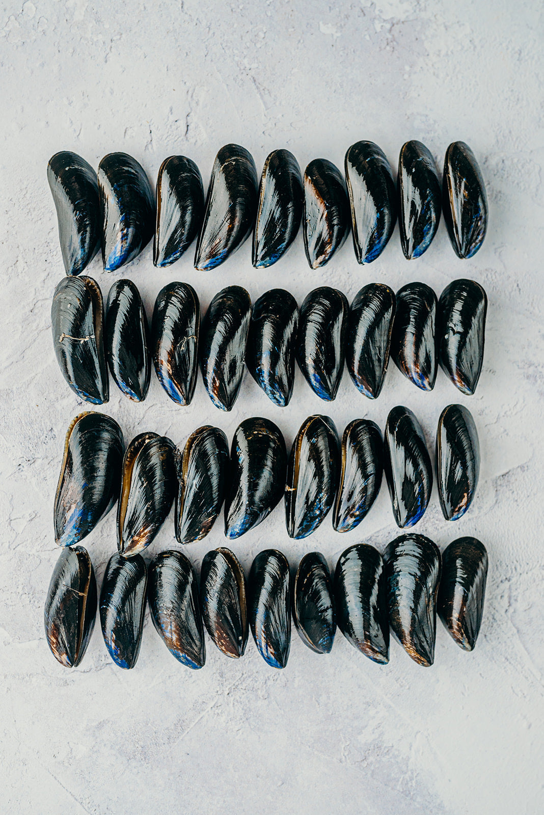 Welsh Petit Moules Mussels 1kg