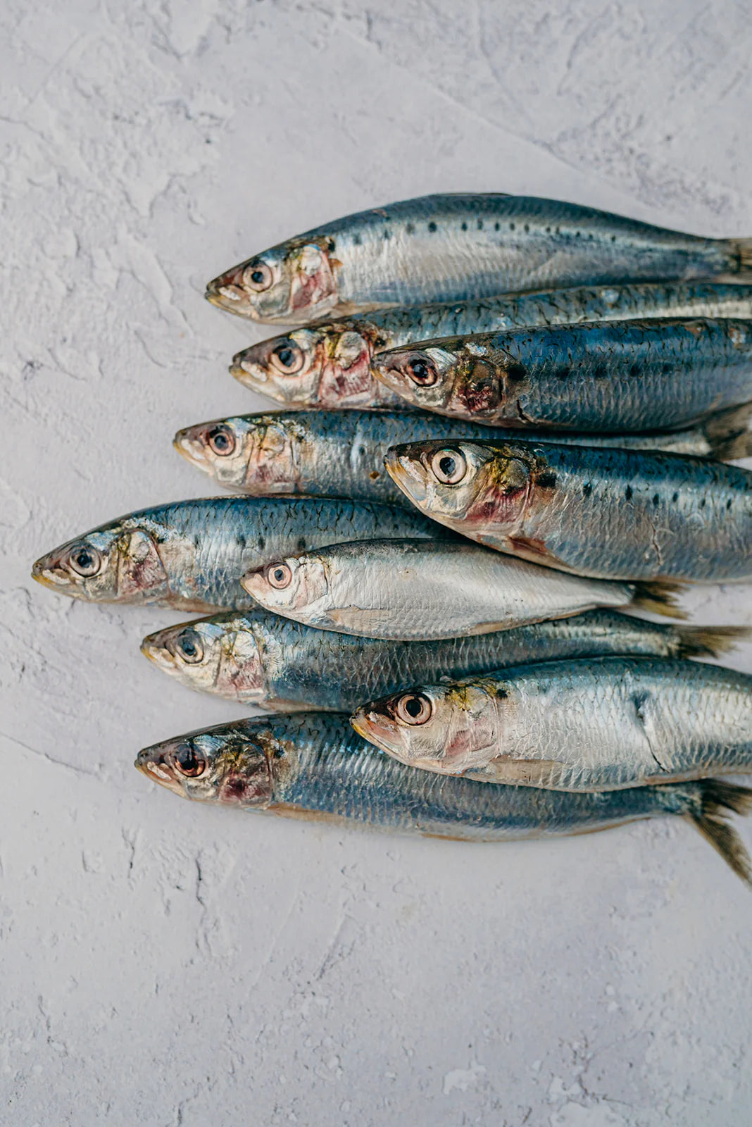 Frozen Butterflied Sardines 300g