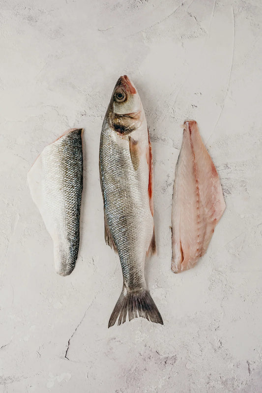 Bass