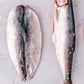 Herring